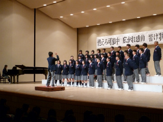 3N3gu莆v